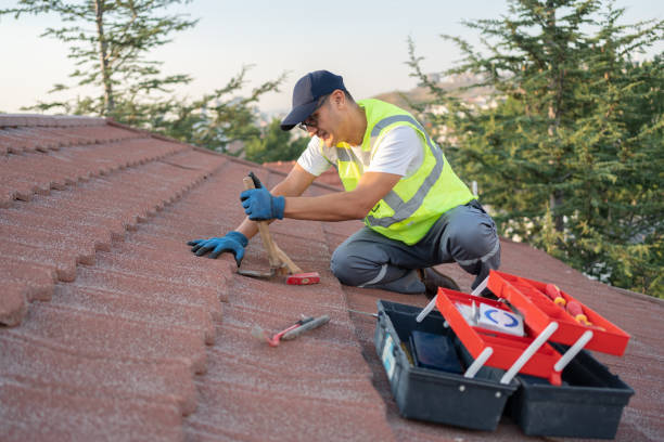 Best Roof Leak Repair  in Safety Harbor, FL